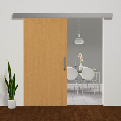 DoorSlide 9725